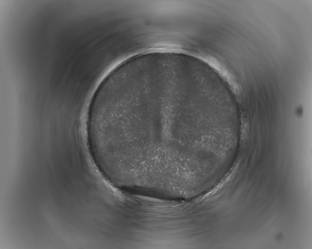 X0000097631325200803211759