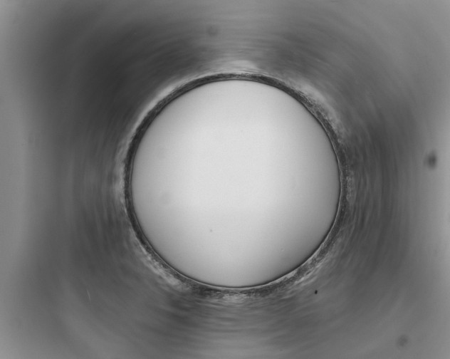 X0000097631326200803211759