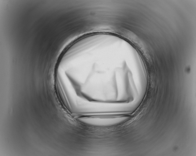 X0000097631328200803211800