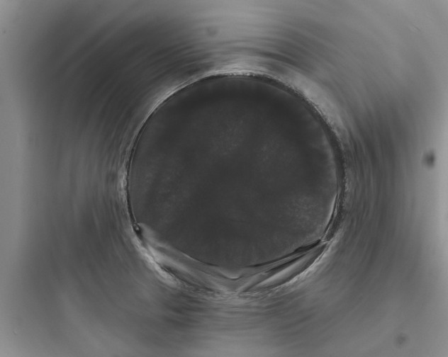 X0000097631329200803211800