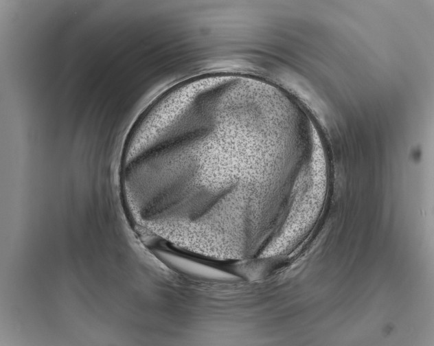 X0000097631330200803211800