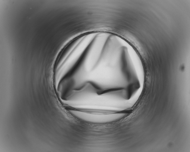 X0000097631332200803211800