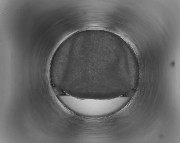 X0000097631333200803211800