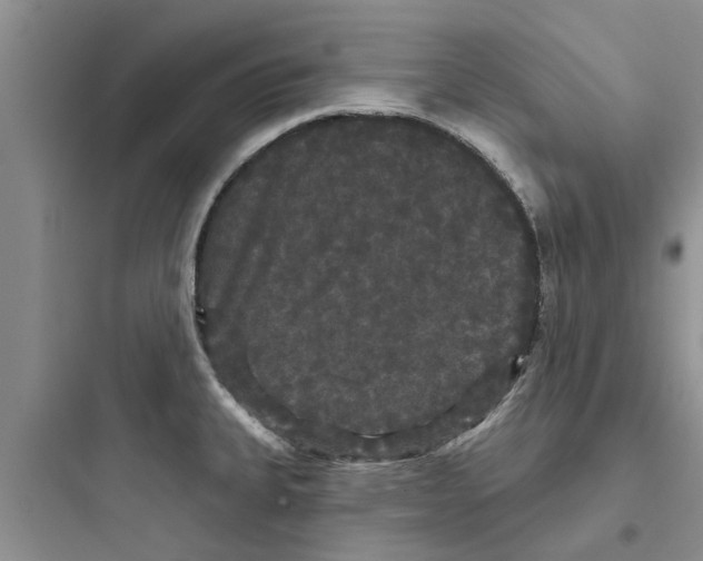 X0000097631335200803211800