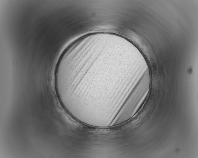 X0000097631336200803211800