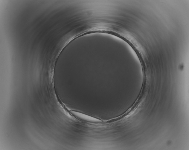 X0000097631337200803211800