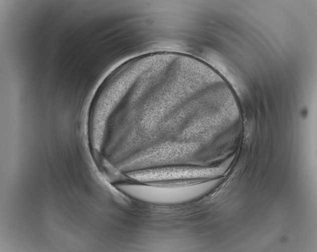 X0000097631339200803211800