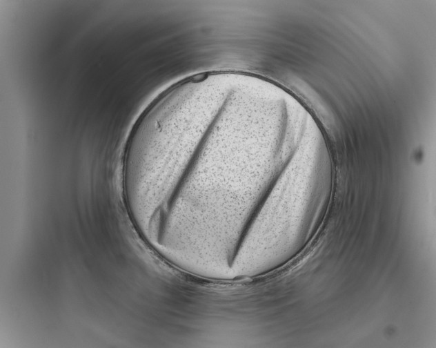 X0000097631340200803211800