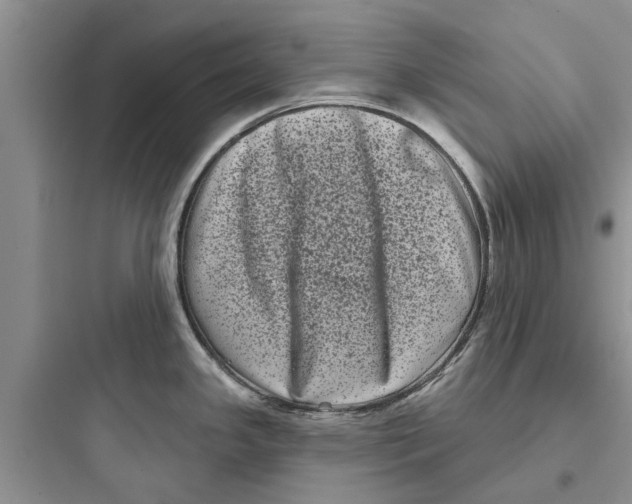 X0000097631341200803211800