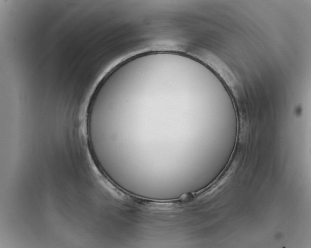 X0000097631342200803211800