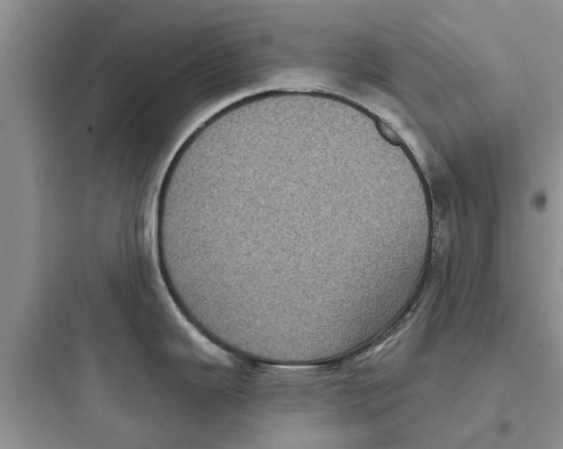 X0000097631343200803211800