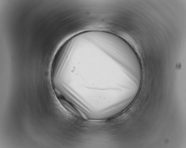 X0000097631344200803211800