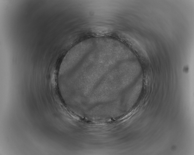 X0000097631346200803211759