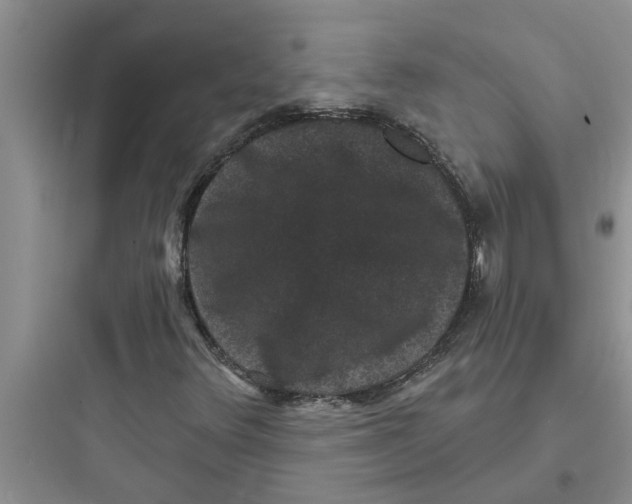 X0000097631348200803211759