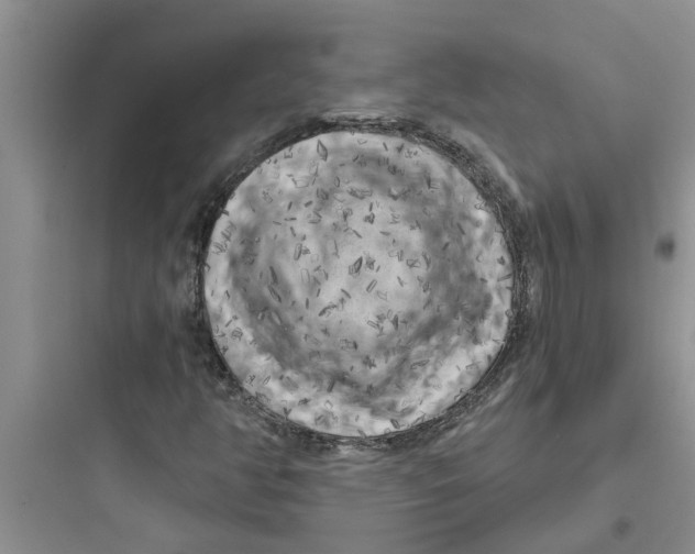 X0000097631350200803211759