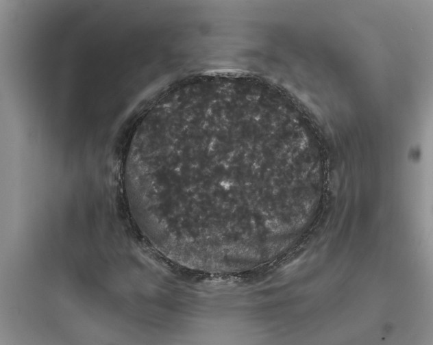 X0000097631351200803211759