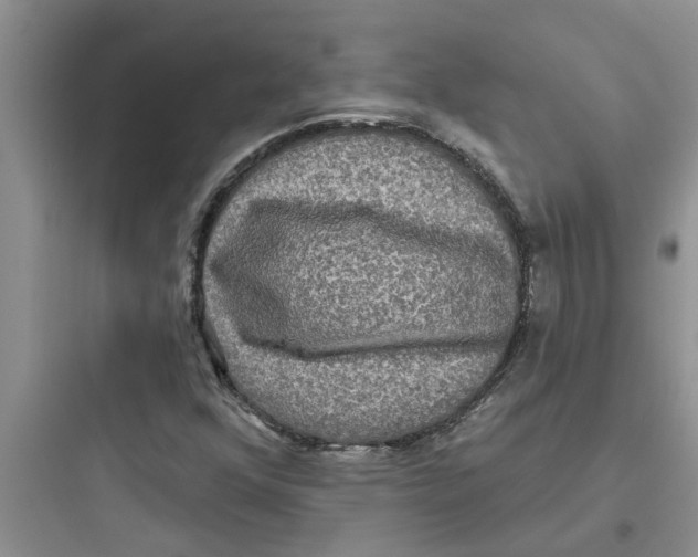 X0000097631352200803211759