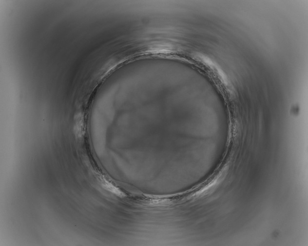 X0000097631353200803211759