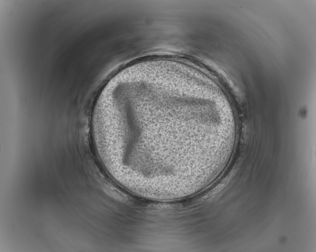 X0000097631355200803211759