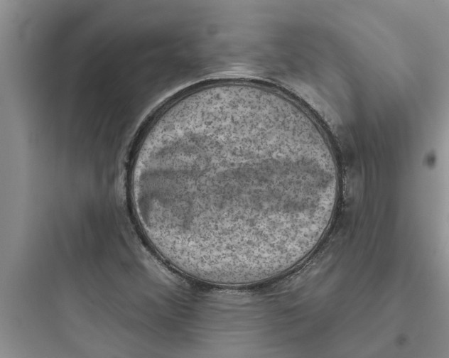 X0000097631356200803211759