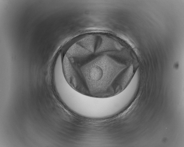 X0000097631357200803211759