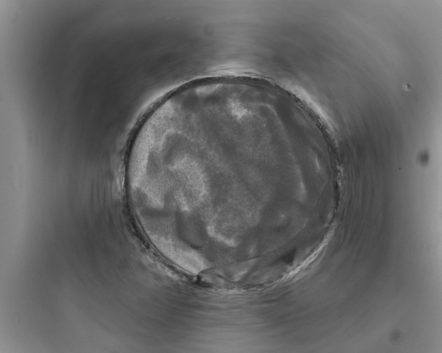 X0000097631358200803211759