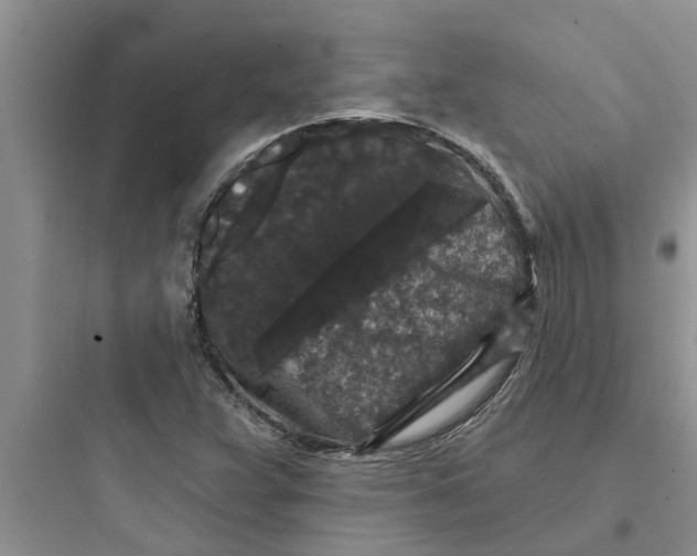 X0000097631359200803211759