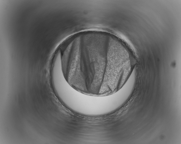 X0000097631360200803211759