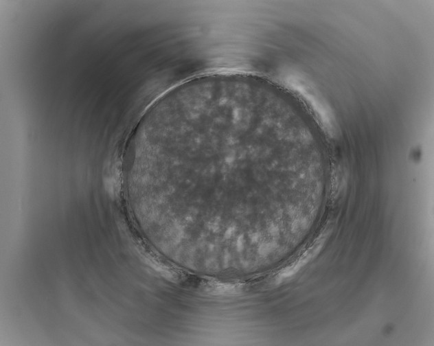 X0000097631361200803211759