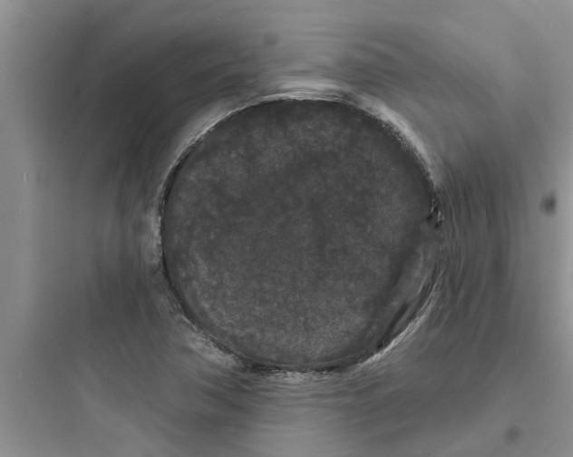 X0000097631362200803211759