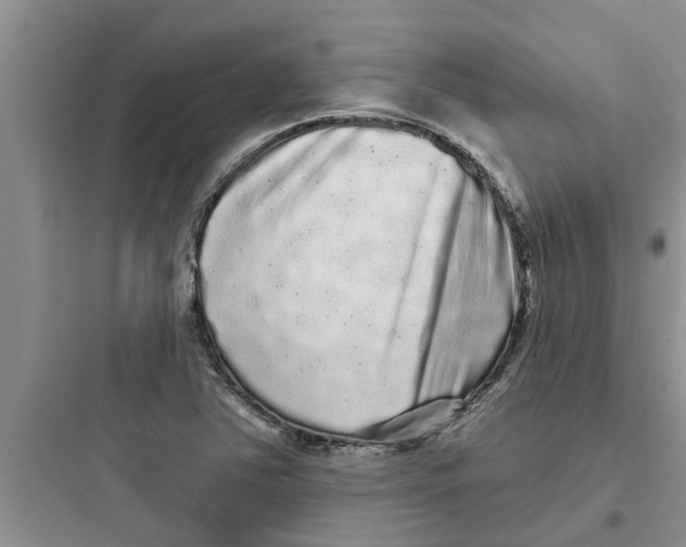 X0000097631363200803211759