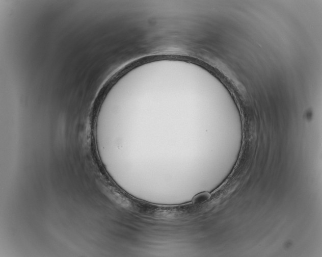 X0000097631364200803211759