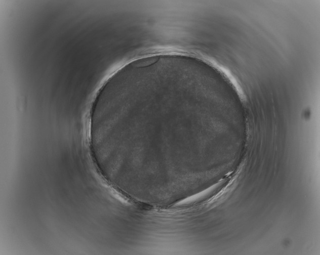 X0000097631365200803211759