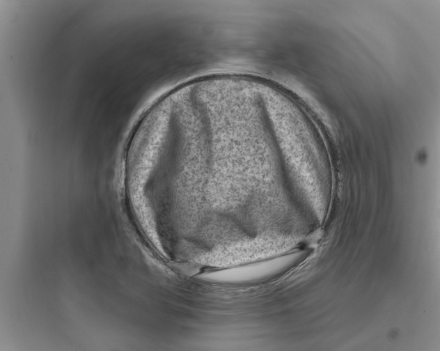 X0000097631366200803211759