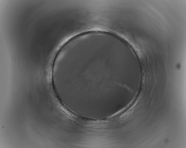 X0000097631367200803211759