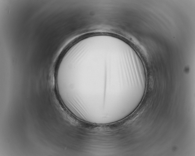 X0000097631368200803211759