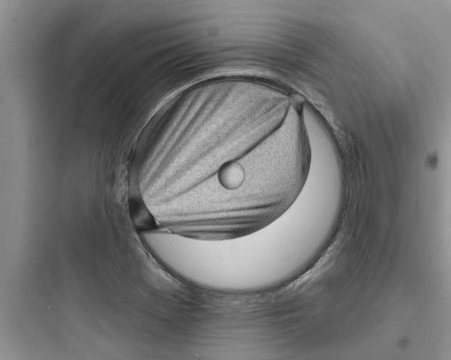 X0000097631369200803211759