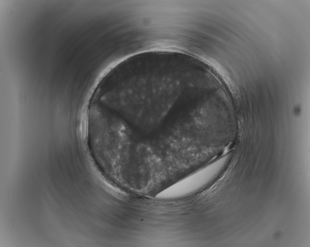 X0000097631371200803211759