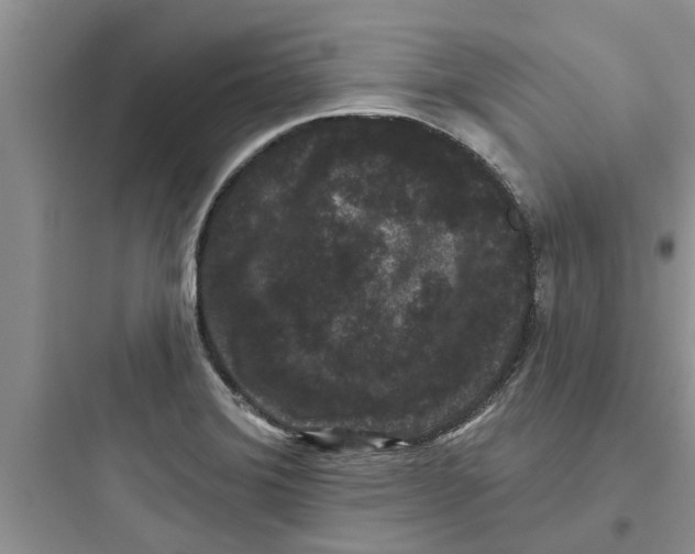 X0000097631372200803211759