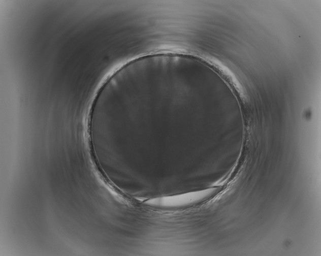 X0000097631373200803211759