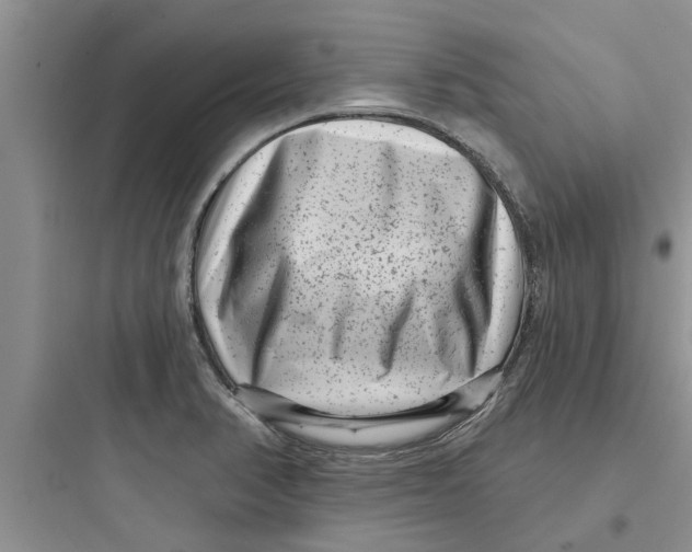 X0000097631374200803211759