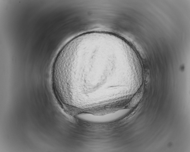 X0000097631375200803211759