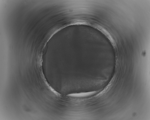 X0000097631377200803211759