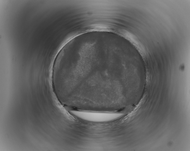 X0000097631378200803211759