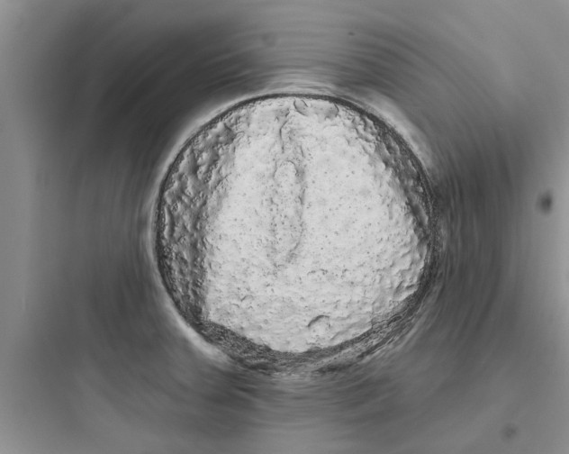 X0000097631379200803211759