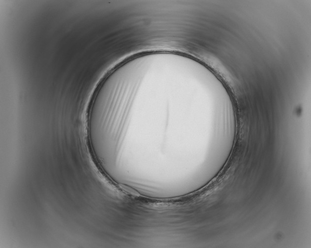 X0000097631380200803211759