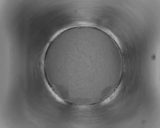 X0000097631381200803211759