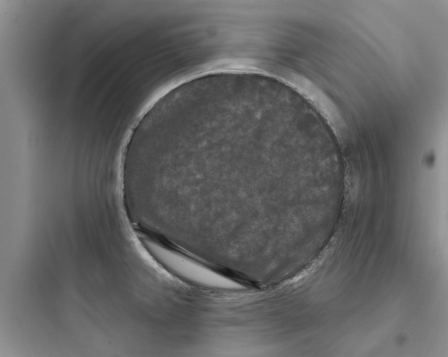 X0000097631382200803211759