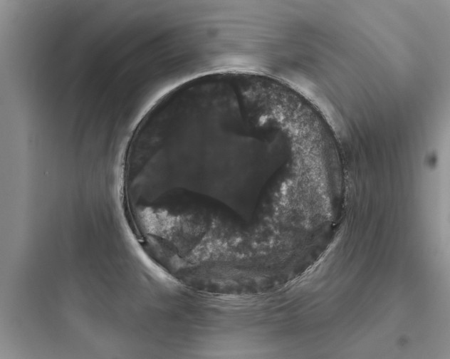 X0000097631383200803211759