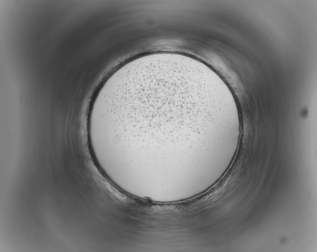 X0000097631384200803211758